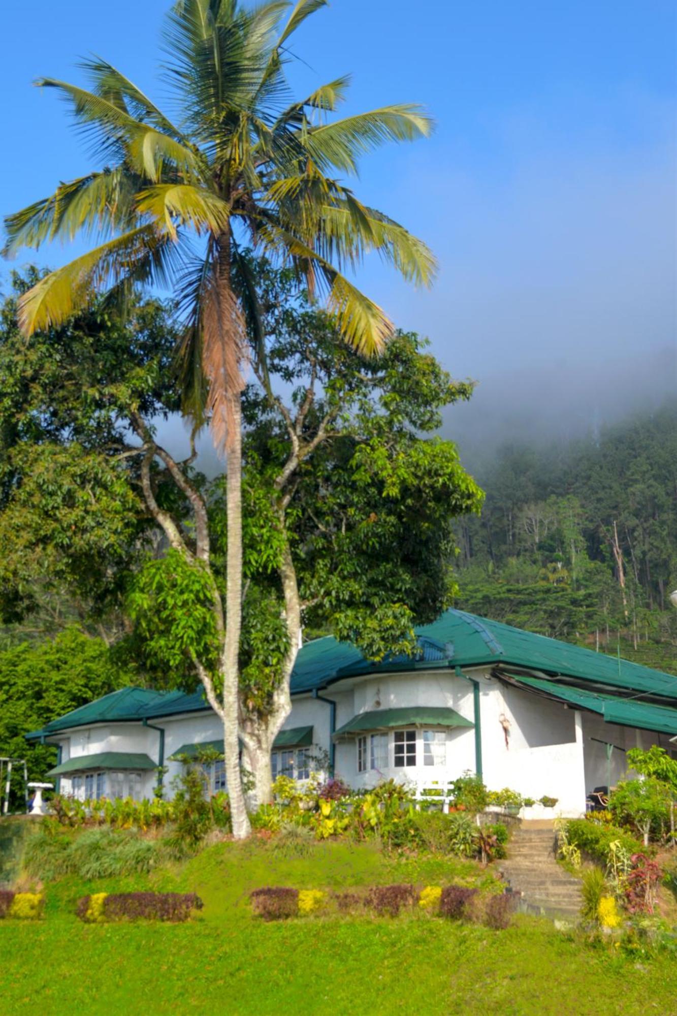 Hatale Tea Estate Bungalow Madulkele Eksteriør billede