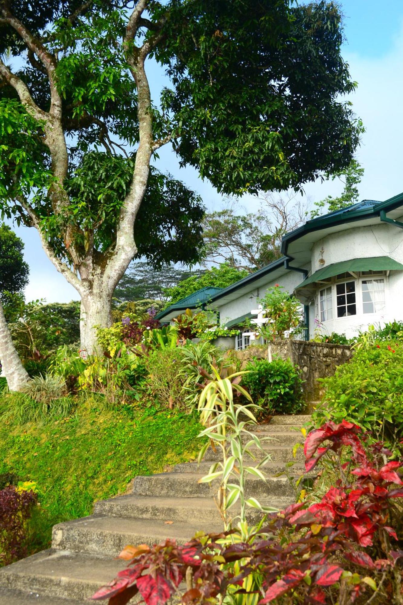 Hatale Tea Estate Bungalow Madulkele Eksteriør billede